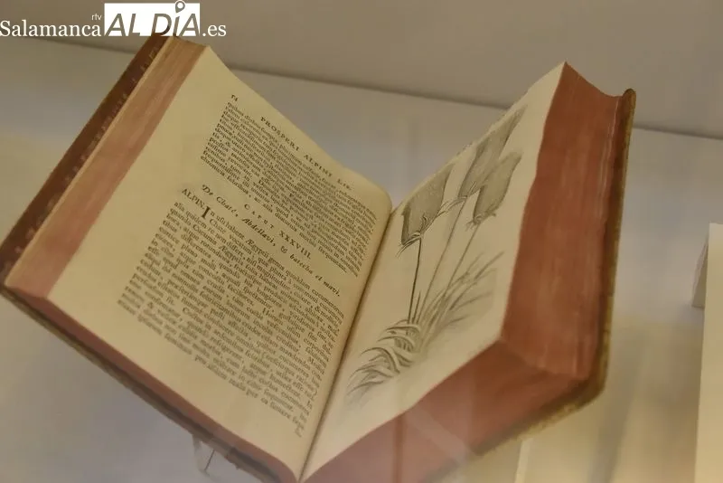 Foto 8 - La USAL rescata sus 'tesoros' bibliogr&aacute;ficos sobre Egipto