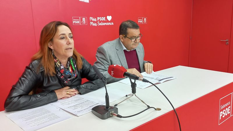 Los procuradores socialistas salmantinos Rosa Rubio y Juan Luis Cepa 