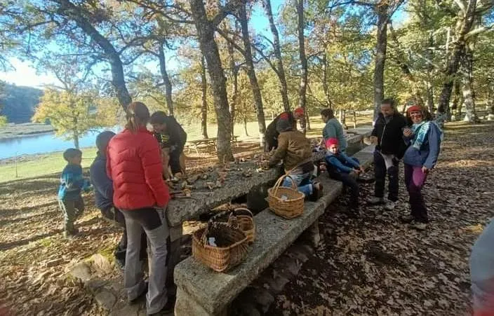 Foto 4 - Vecinos de El Payo disfrutan de una salida micol&oacute;gica conjunta