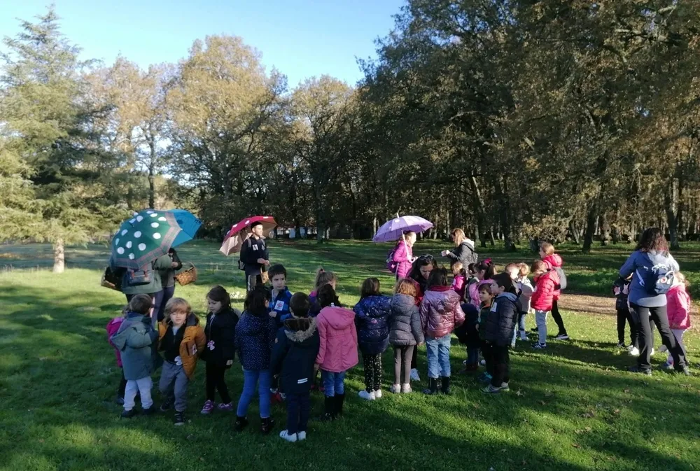 Foto 4 - 130 escolares de cuatro centros participan en las recuperadas Jornadas Micol&oacute;gicas Infantiles