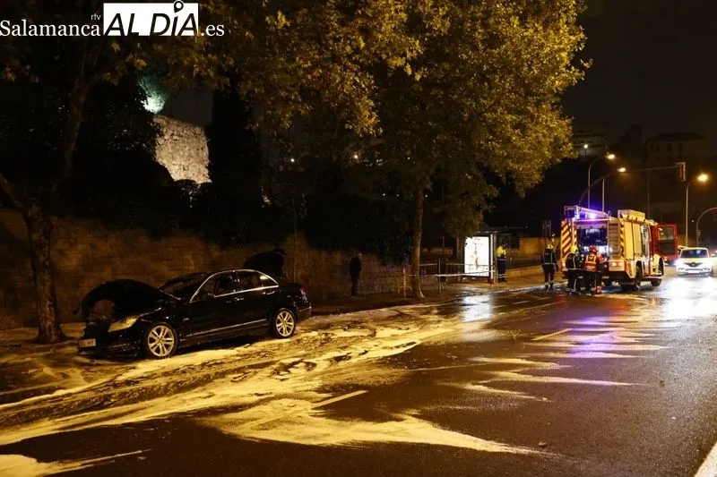 Imágenes del estado en el que ha quedado el turismo incendiado. Fotos: David Sañudo