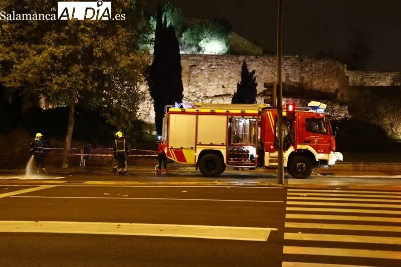 Imágenes del estado en el que ha quedado el turismo incendiado. Fotos: David Sañudo