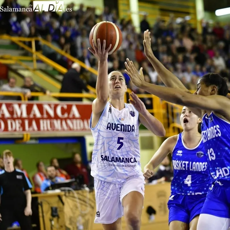 Galería de imágenes del Perfumerías Avenida - Basket Landes / Fotos: RTV