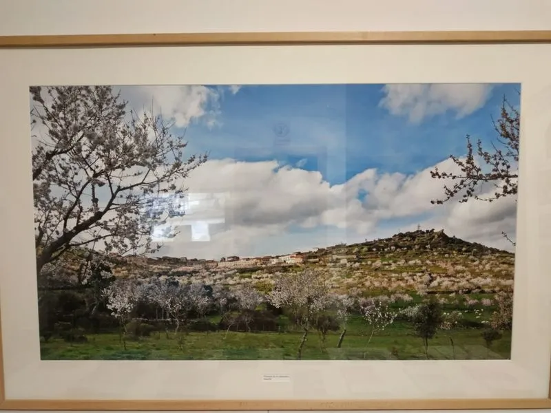 Algunas de las fotografías de la muestra de Vicente Sierra Puparelli