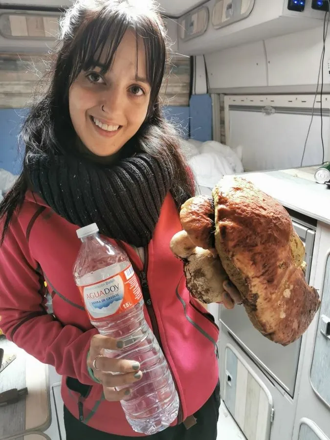 Foto 3 - Recogida una seta de casi 2,5 kilos en el entorno de La Alberca