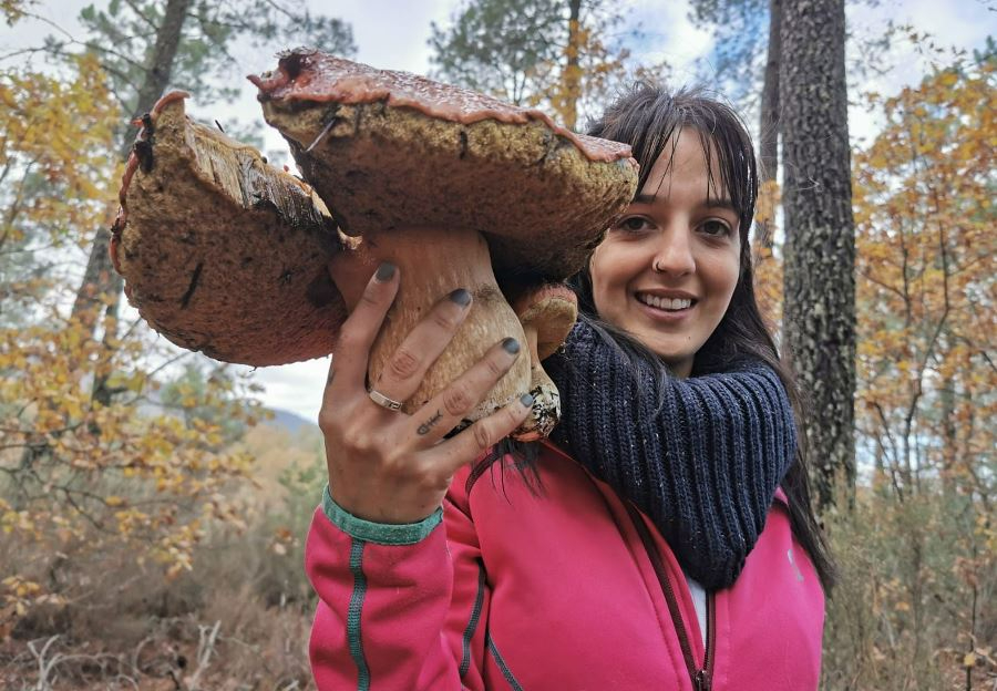 Foto 2 - Recogida una seta de casi 2,5 kilos en el entorno de La Alberca