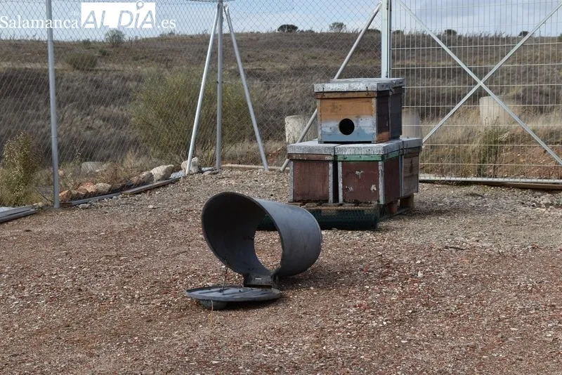 Nuevo Centro de Protección Animal de Salamanca. Foto de Vanesa Martins