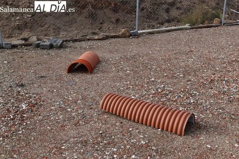 Nuevo Centro de Protección Animal de Salamanca. Foto de Vanesa Martins