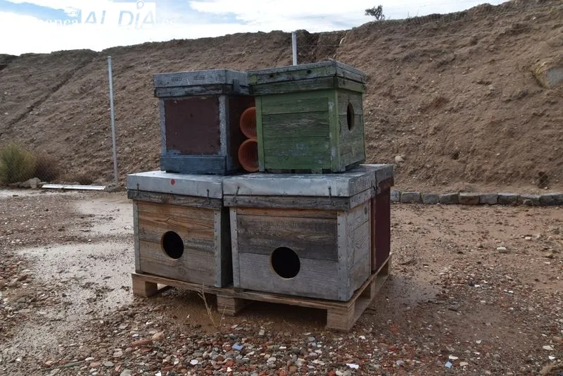 Nuevo Centro de Protección Animal de Salamanca. Foto de Vanesa Martins