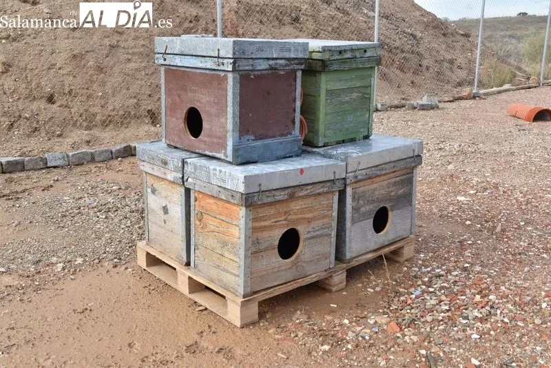 Nuevo Centro de Protección Animal de Salamanca. Foto de Vanesa Martins