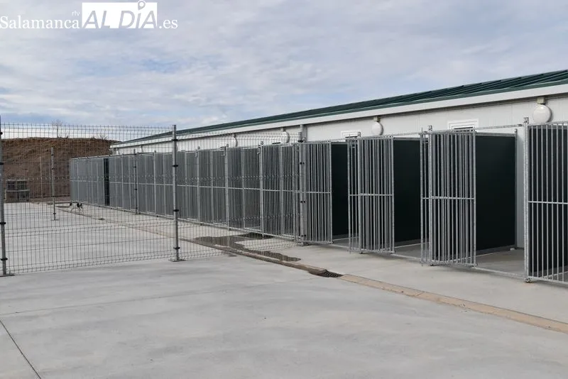 Nuevo Centro de Protección Animal de Salamanca. Foto de Vanesa Martins