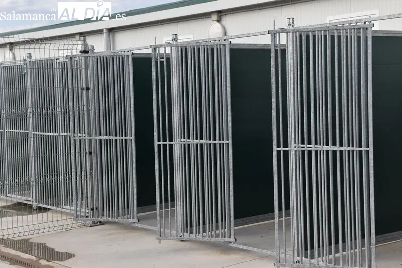 Nuevo Centro de Protección Animal de Salamanca. Foto de Vanesa Martins
