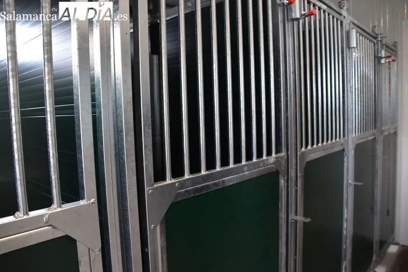 Nuevo Centro de Protección Animal de Salamanca. Foto de Vanesa Martins