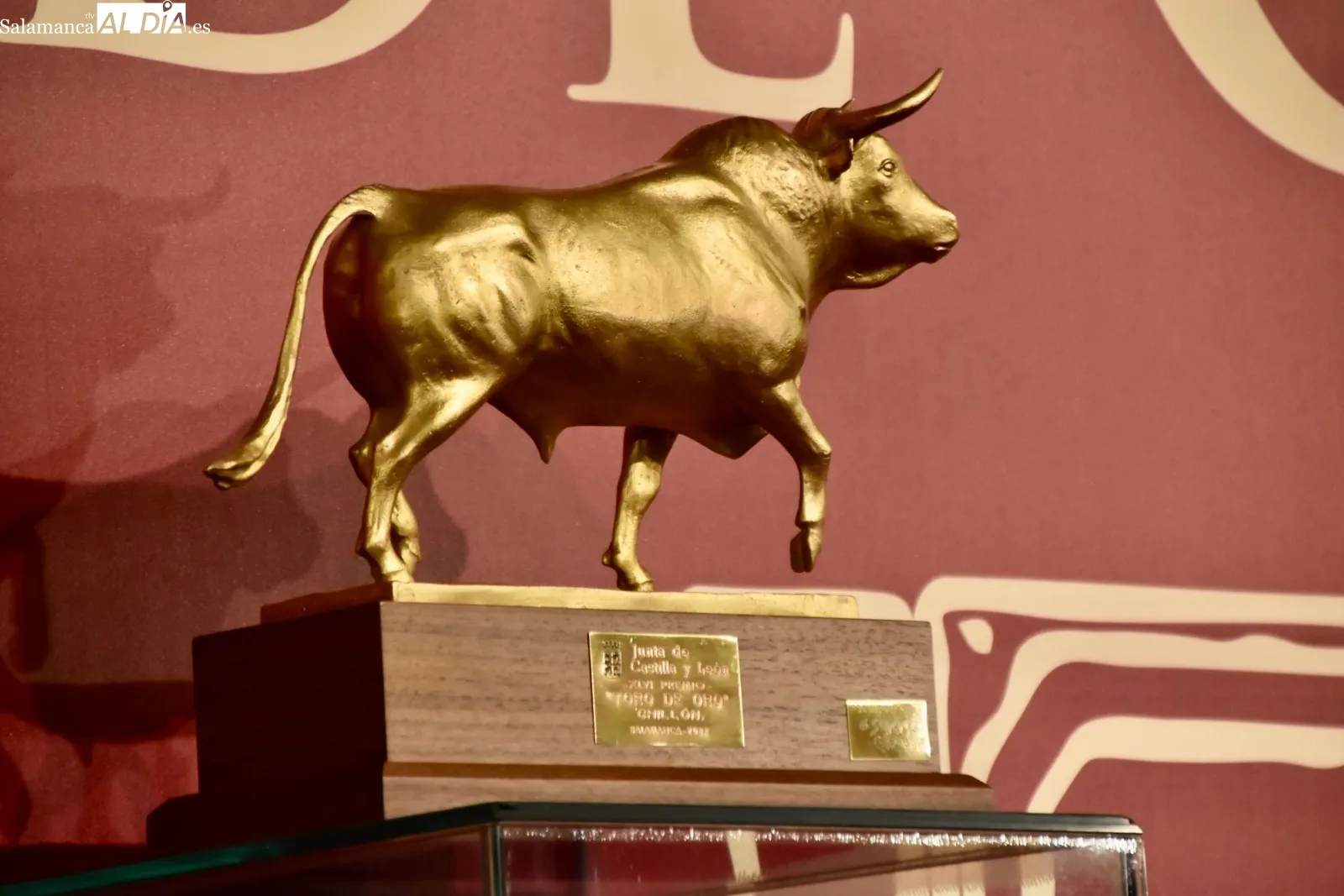Entrega del premio ‘Toro de Oro’ en su XLVI edición en el salón de actos de la Delegación Territorial de la Junta en Salamanca. Fotos: Vanesa Martins