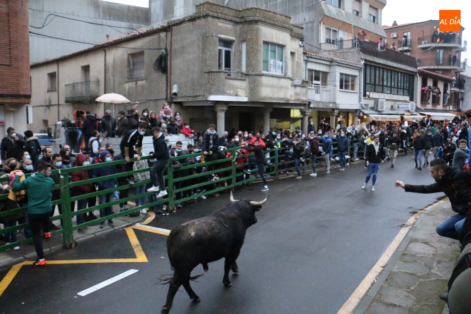 El I Toro de San Nicolás concitó a miles de personas en las calles de Vitigudino / CORRAL 