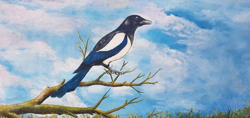 Murales en Vega de Tirados inspirados en aves autóctonas. Fotos: AytoVegaTirados