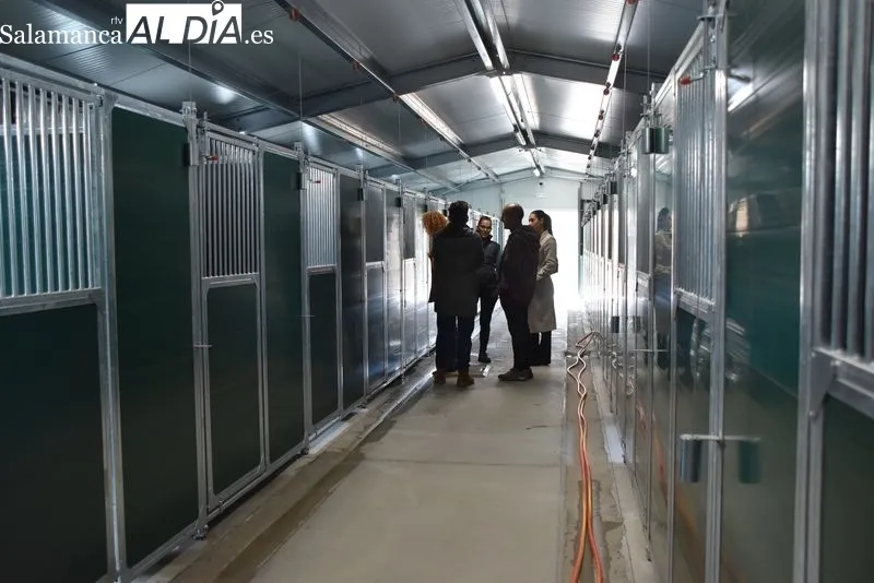 Nuevo Centro de Protección Animal de Salamanca. Foto de Vanesa Martins