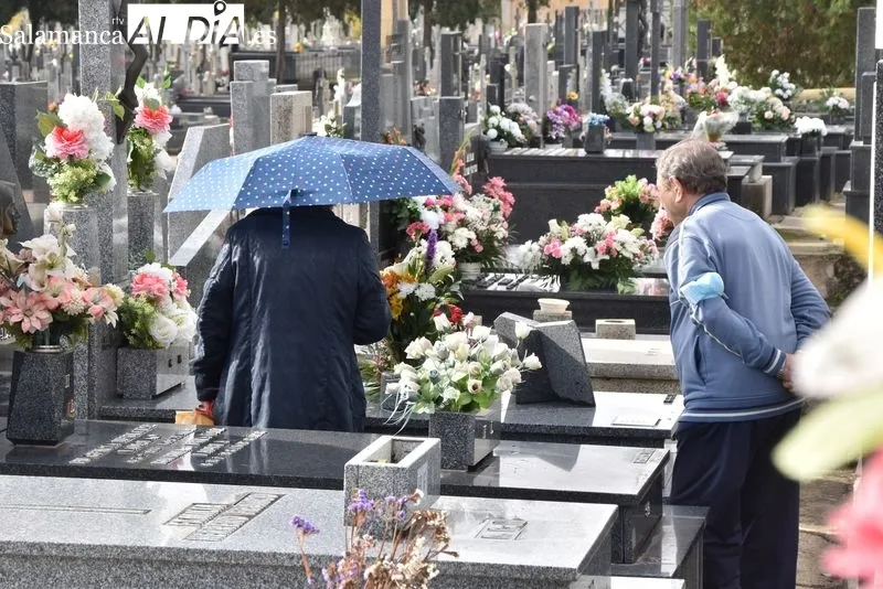 El cementerio y sus alrededores en la mañana de este martes, Día de Todos los Santos. Fotos: Vanesa Martins