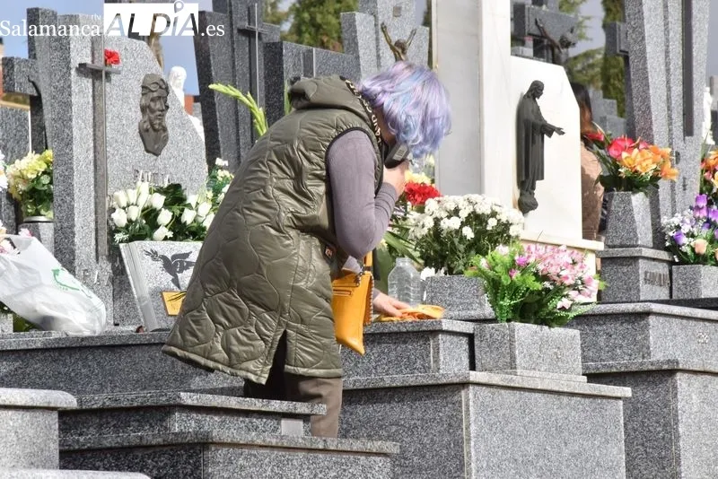 El cementerio y sus alrededores en la mañana de este martes, Día de Todos los Santos. Fotos: Vanesa Martins