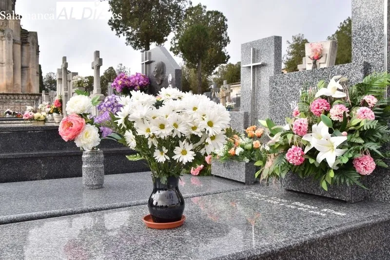 El cementerio y sus alrededores en la mañana de este martes, Día de Todos los Santos. Fotos: Vanesa Martins