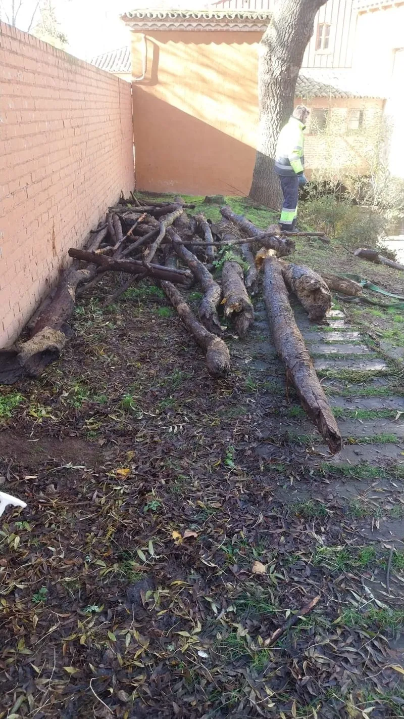 Trabajos de limpieza en el río Tormes