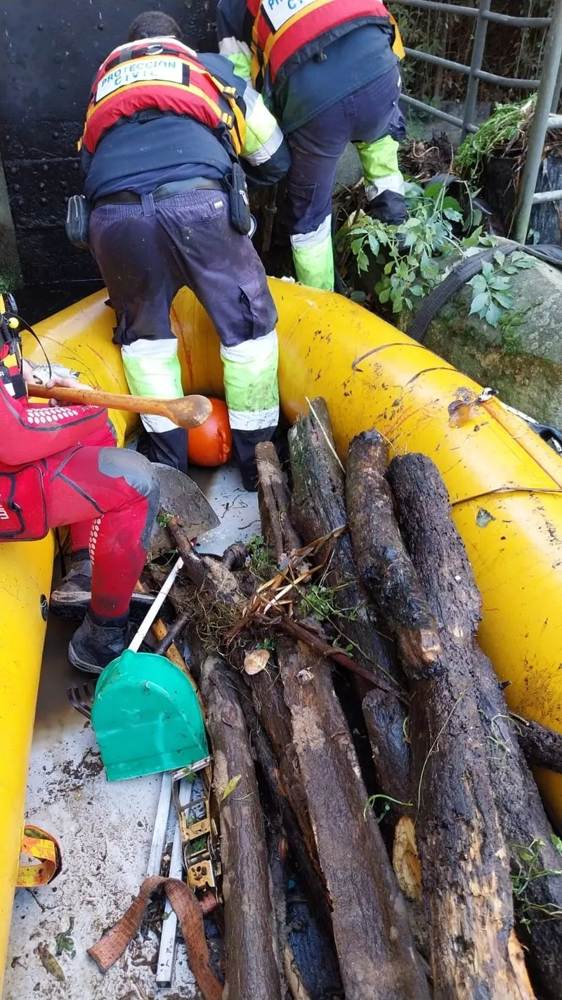 Trabajos de limpieza en el río Tormes