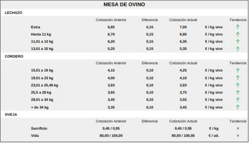 Foto 8 - El vacuno de sacrificio mantiene los precios alza y se suman lechazos y corderos