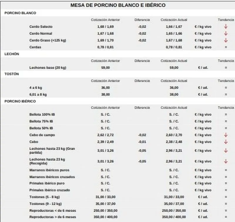 Foto 7 - El vacuno de sacrificio mantiene los precios alza y se suman lechazos y corderos