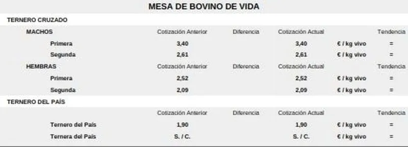 Foto 6 - El vacuno de sacrificio mantiene los precios alza y se suman lechazos y corderos