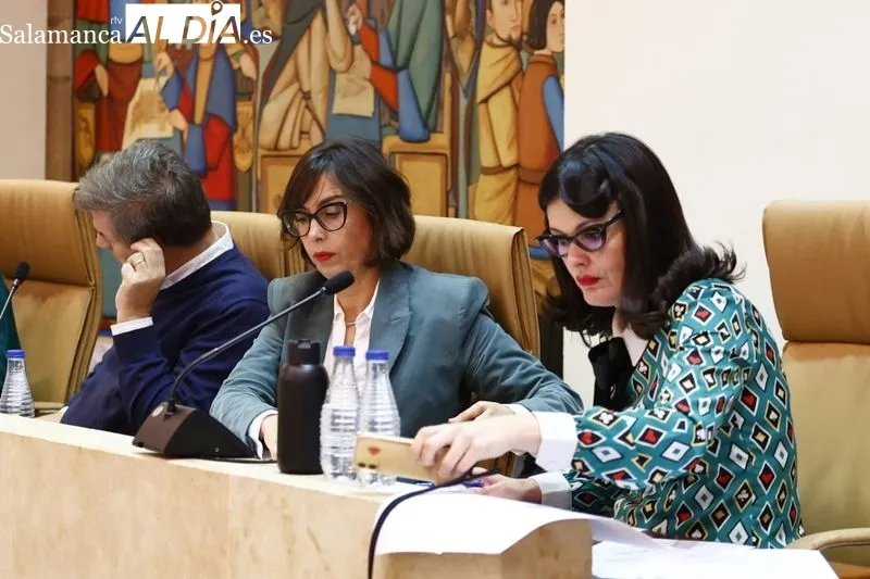 Pleno del Ayuntamiento de Salamanca. Foto de David Sañudo