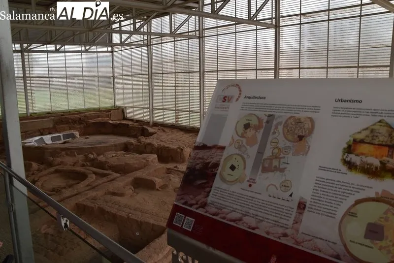 Imágenes de las zonas excavadas en el Cerro de San Vicente | Fotos: Vanesa Martins 