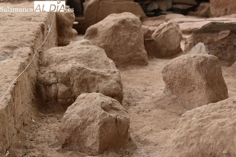 Imágenes de las zonas excavadas en el Cerro de San Vicente | Fotos: Vanesa Martins 