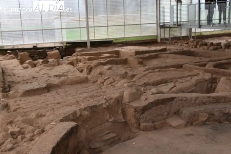 Imágenes de las zonas excavadas en el Cerro de San Vicente | Fotos: Vanesa Martins 