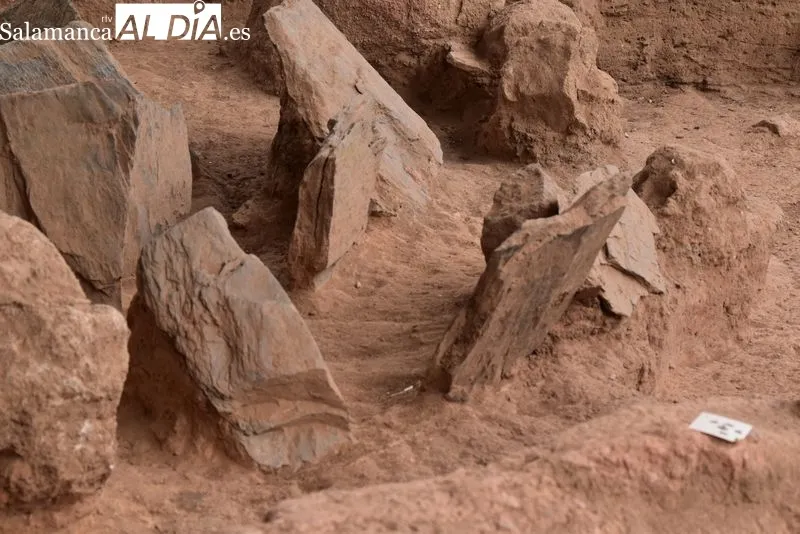 Imágenes de las zonas excavadas en el Cerro de San Vicente | Fotos: Vanesa Martins 