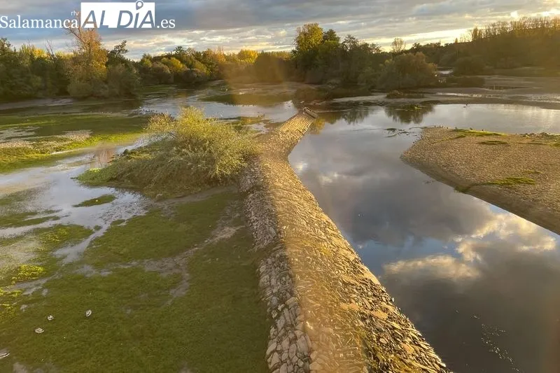 Foto 16 - El r&iacute;o Tormes, con el caudal bajo a su paso por Alba
