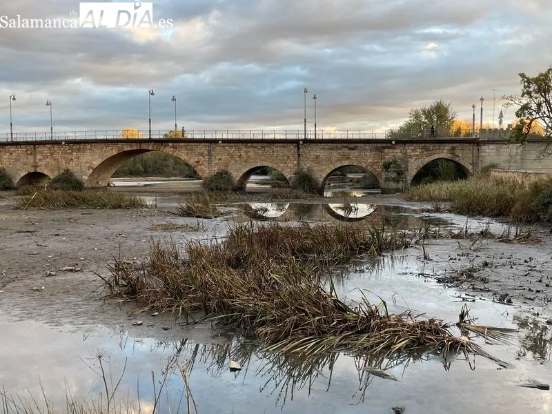 Foto 11 - El r&iacute;o Tormes, con el caudal bajo a su paso por Alba