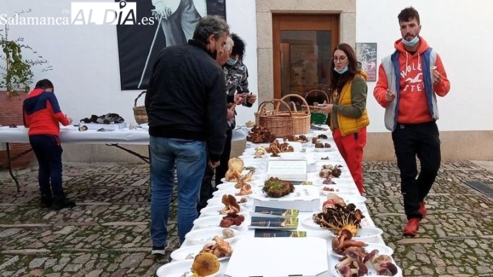 II Jornadas micológicas gastronómicas en Lumbrales el próximo fin de semana