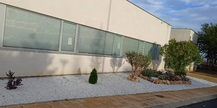 Trabajos realizados en Doñinos de Salamanca por las alumnas y alumnos de estos cursos