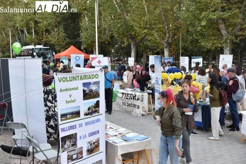 Foto 1 - La Mesa de Voluntariado de Salamanca organiza una jornada lúdica