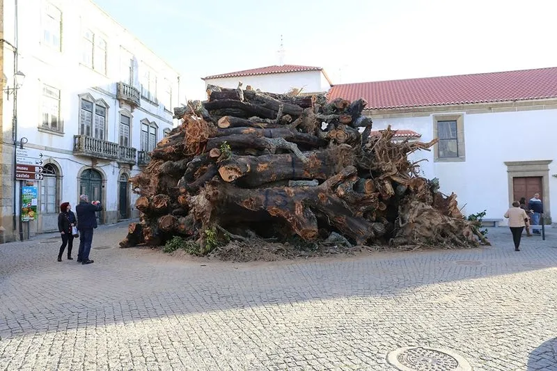 Foto 6 - La fuerza de la tradici&oacute;n prende la llama del mayor Madeiro de Portugal