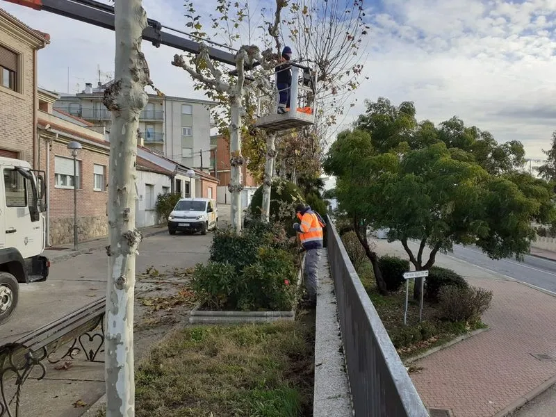 Foto 4 - El Ayuntamiento intensifica los trabajos de mantenimiento en Torrej&oacute;n de Alba