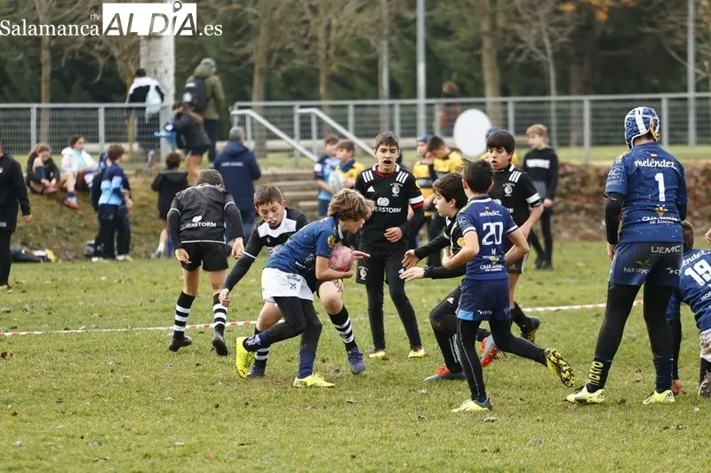 Galería de imágenes del III Festival de Escuelas de Rugby de Castilla y León / Fotos: David Sañudo