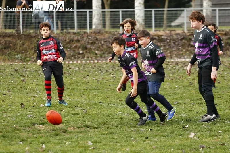 Galería de imágenes del III Festival de Escuelas de Rugby de Castilla y León / Fotos: David Sañudo