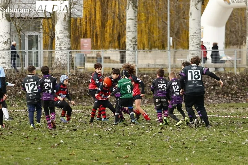 Galería de imágenes del III Festival de Escuelas de Rugby de Castilla y León / Fotos: David Sañudo