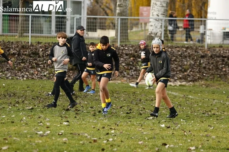 Galería de imágenes del III Festival de Escuelas de Rugby de Castilla y León / Fotos: David Sañudo