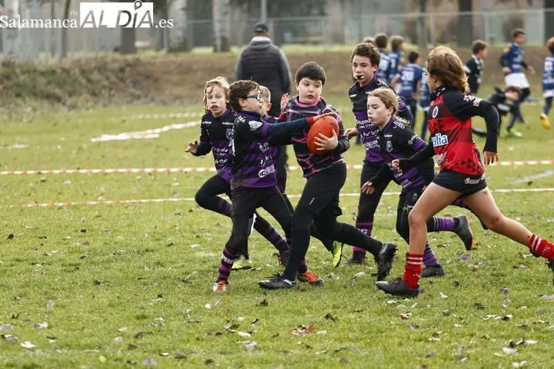 Galería de imágenes del III Festival de Escuelas de Rugby de Castilla y León / Fotos: David Sañudo