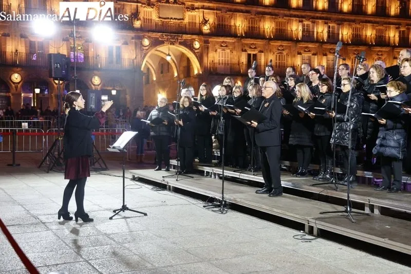  Concierto del Parentum Chorus en la Plaza Mayor. Fotos: David Sañudo