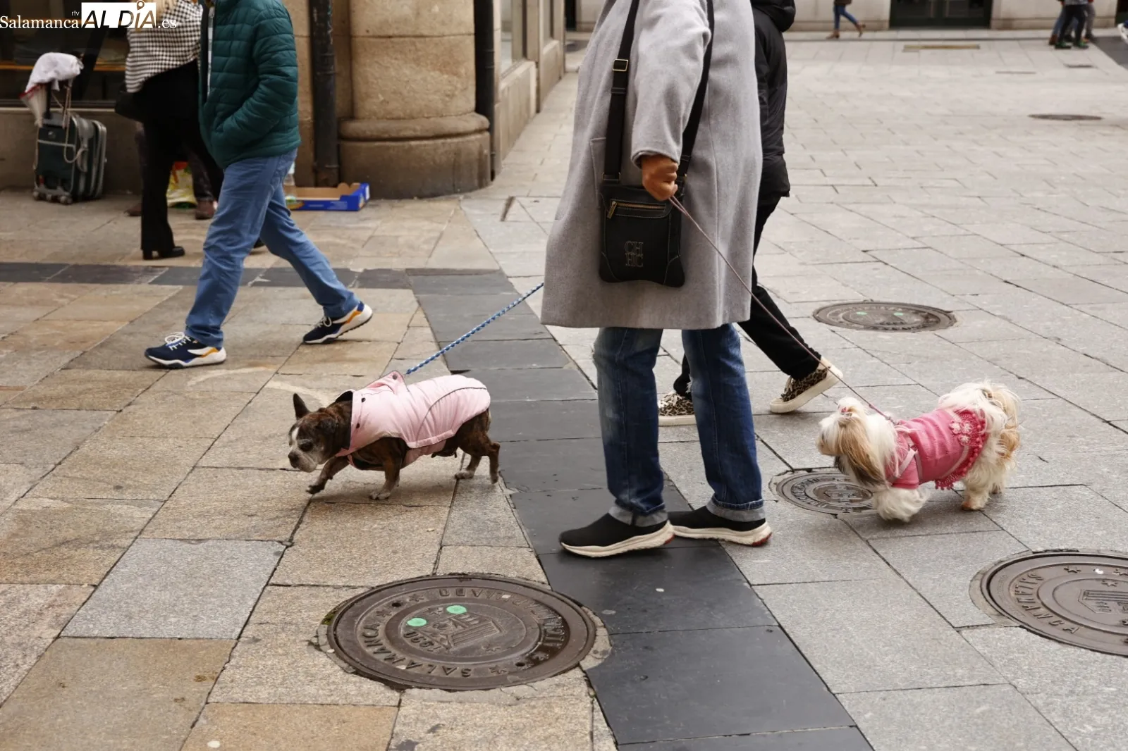 Ambiente navideño en Salamanca. Fotos David Sañudo