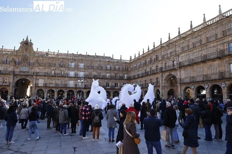Espectáculo de ARTScreatrive en las calles del centro de Salamanca. Fotos: David Sañudo