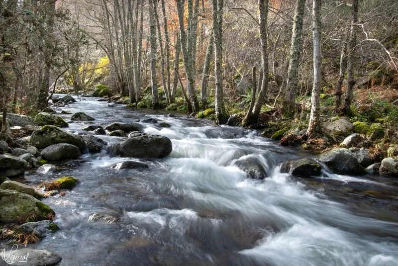 Imágenes de 'El Canalizo', en la Sierra de Béjar. Fotos: Manuel Lamas